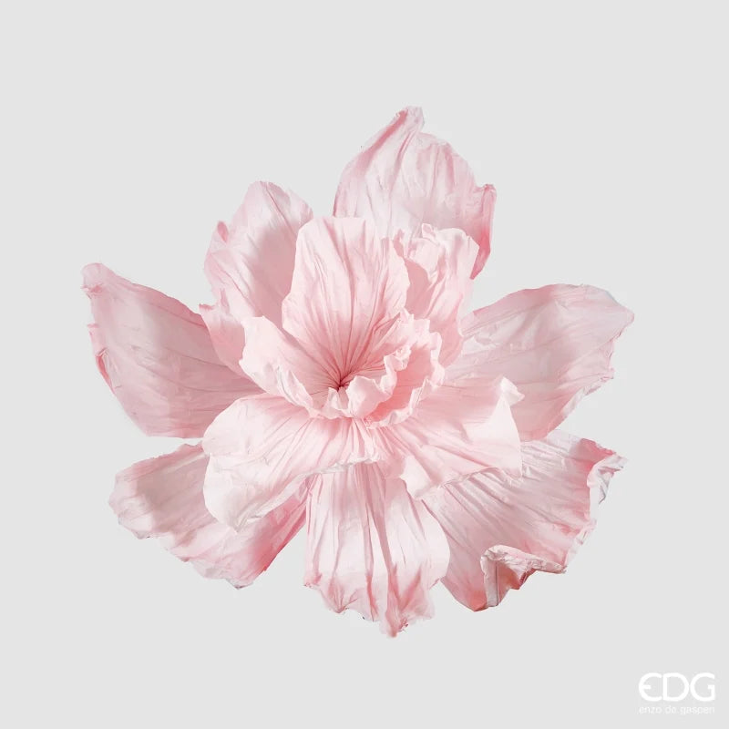 Peonia Jumbo in Carta Rosa 100 x 70 cm
