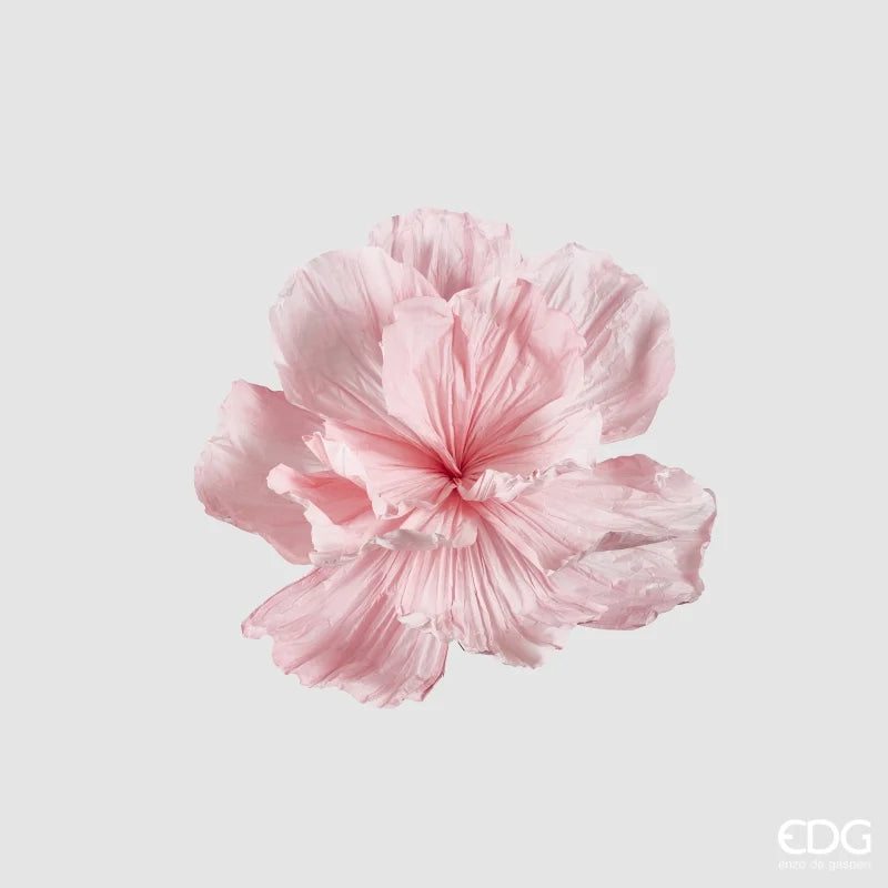 Peonia Jumbo in Carta Rosa 80 x 60 cm