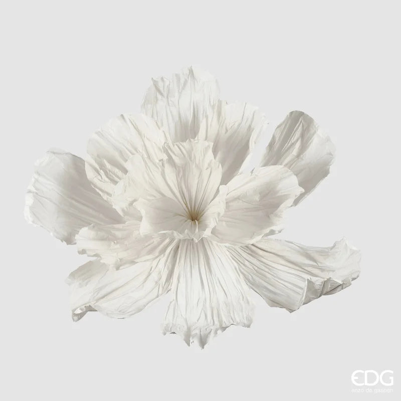 Peonia Jumbo in Carta Bianco 100 x 70 cm