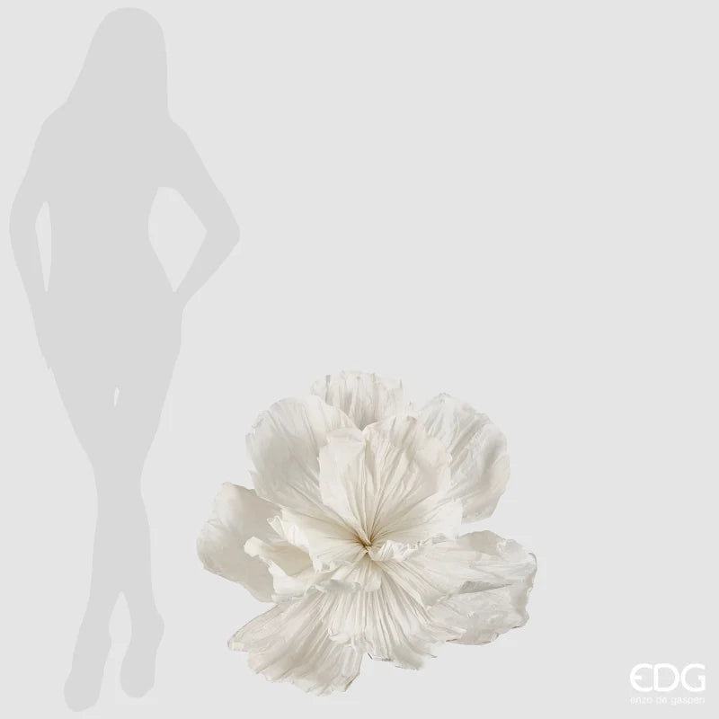 Peonia Jumbo in Carta Bianco 80 x 60 cm