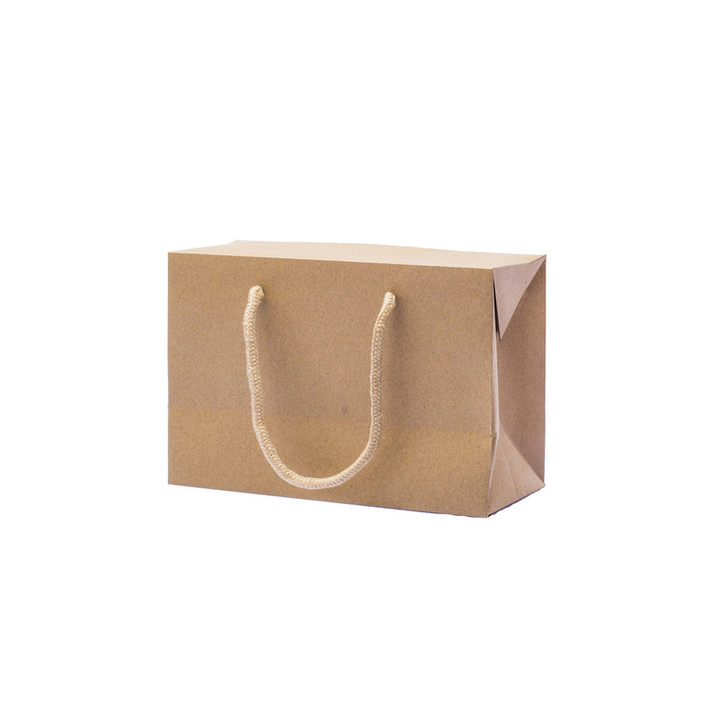 Borse Bagbox in Carta Kraft 20 x 9 x 14 cm - 10 pezzi