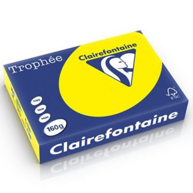 Risma Clairefontaine Trophe A4 G160 Ff250 Giallo Sole