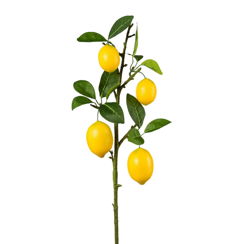 Ramo Limone con Foglie 68 cm