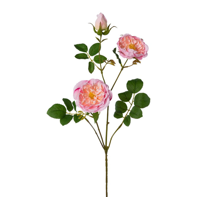 Ramo Rose Selvatiche Rosa 73 cm
