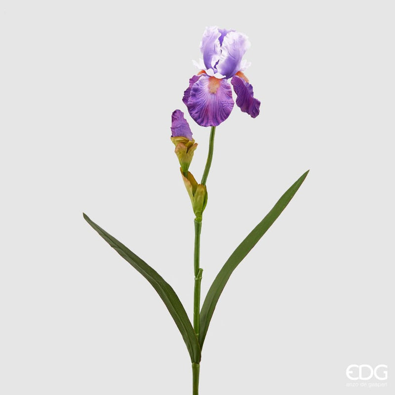 Ramo Iris Rex con Boccioli 75 cm Viola