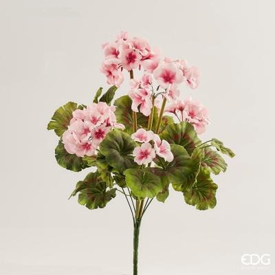 Cespo Geranio Zonale Rosa Antico 48 cm