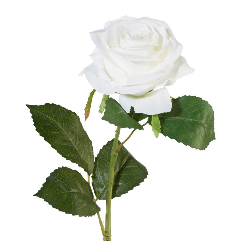 Ramo Rosa Bianco 53 cm