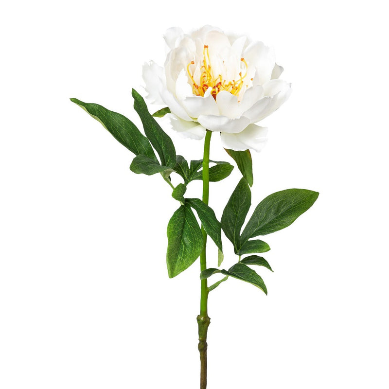 Ramo Rosa Peonia Bianco 51 cm
