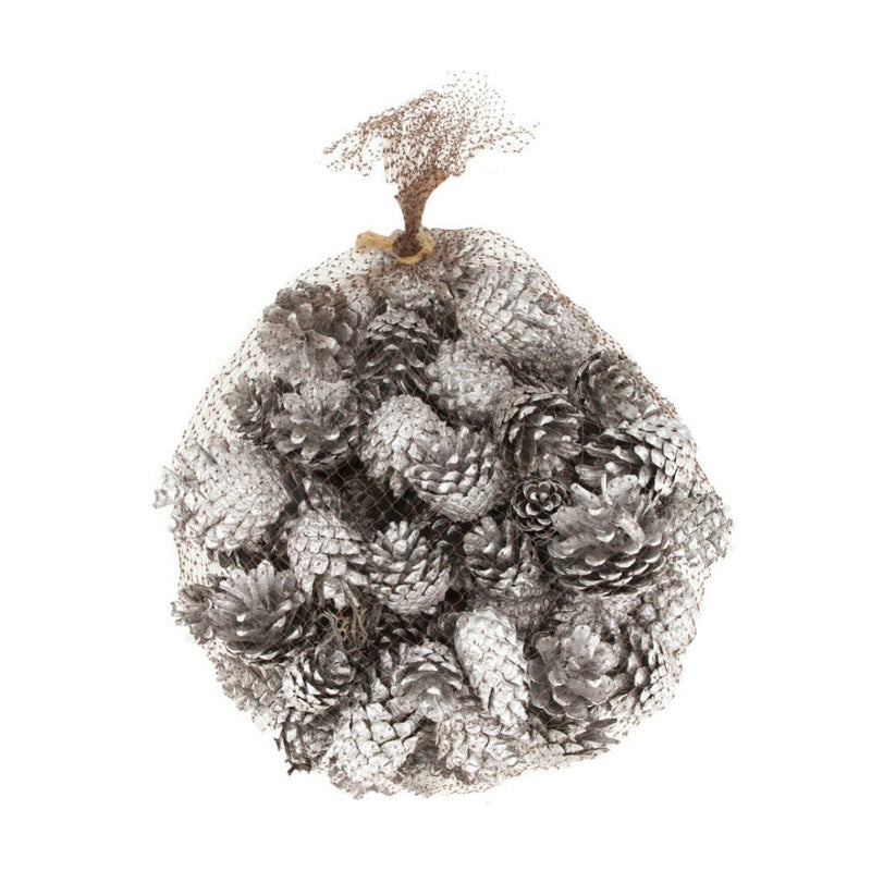 Pigne Argento Natural 1 kg