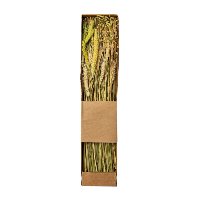 Spighe Triticum Naturale con Scatola Riciclata 60 cm